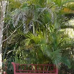 Casa Palmeras (adults Only) 3* Марбелья