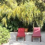 Casa Palmeras (adults Only) Отель типа 