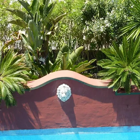 ベッド・アンド・ブレックファスト Casa Palmeras (adults Only)