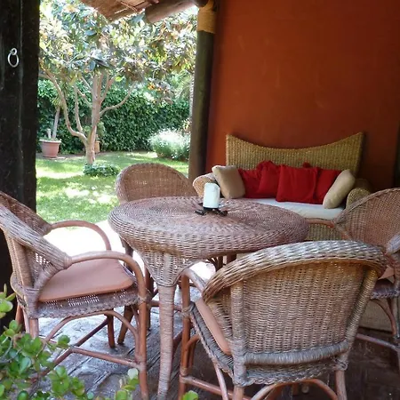 Casa Palmeras (adults Only) ベッド・アンド・ブレックファスト マルベーリャ