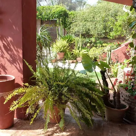 Hotell Casa Palmeras (adults Only)