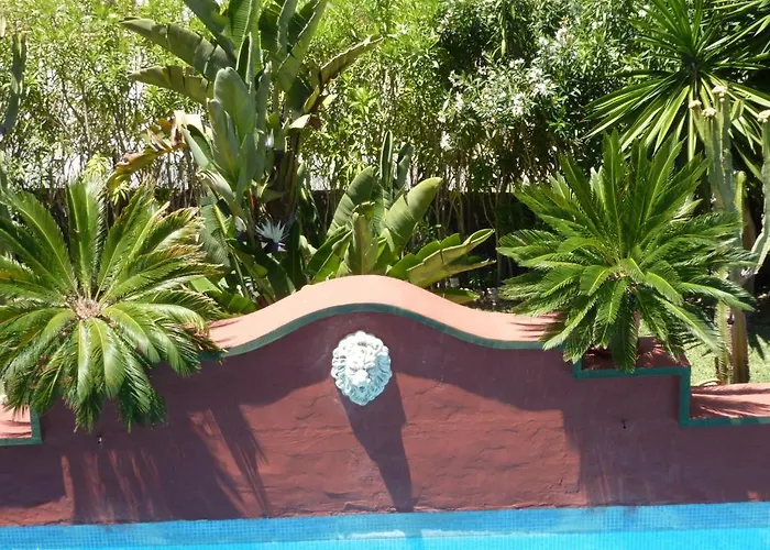 ベッド・アンド・ブレックファスト Casa Palmeras (adults Only)