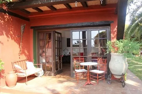 ベッド・アンド・ブレックファスト Casa Palmeras (adults Only) マルベーリャ