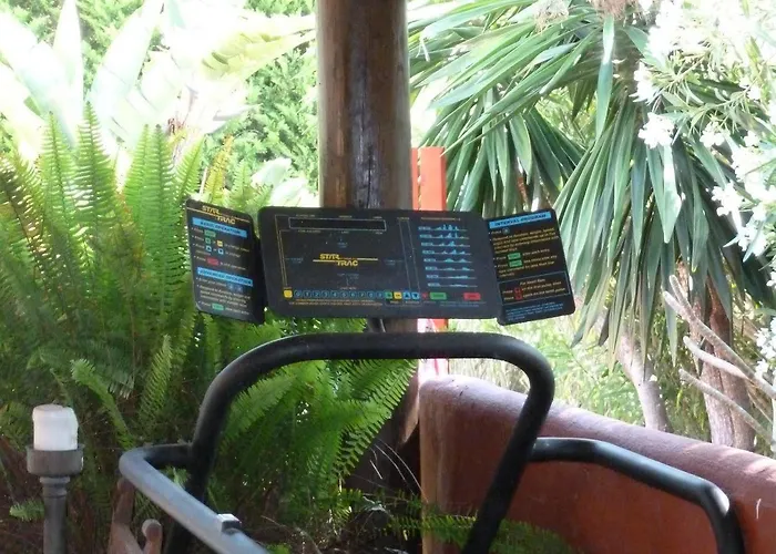 ベッド・アンド・ブレックファスト Casa Palmeras (adults Only)