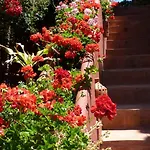 B&B Casa Palmeras (adults Only) 마르베야
