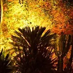 Casa Palmeras (adults Only) 3*