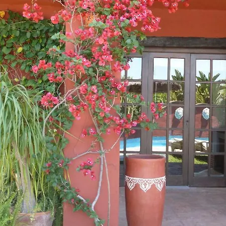 Bed & Breakfast Casa Palmeras (adults Only) 3*