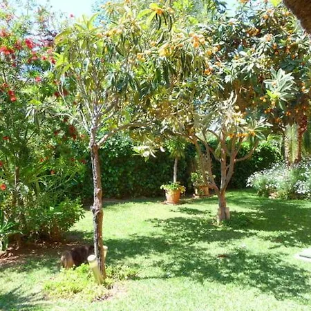 Bed & Breakfast Casa Palmeras (adults Only)