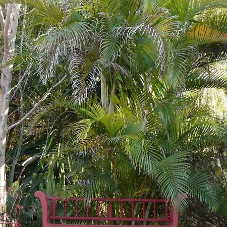 Casa Palmeras (adults Only) 3* מארבלה