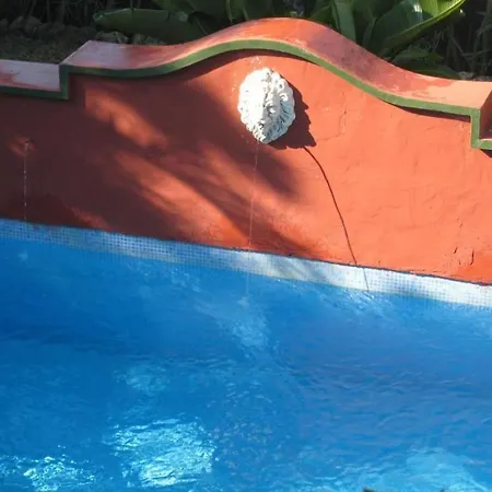 Casa Palmeras (adults Only) Bed & Breakfast Marbella