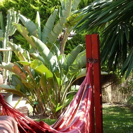 Casa Palmeras (adults Only) Bed & Breakfast Marbella