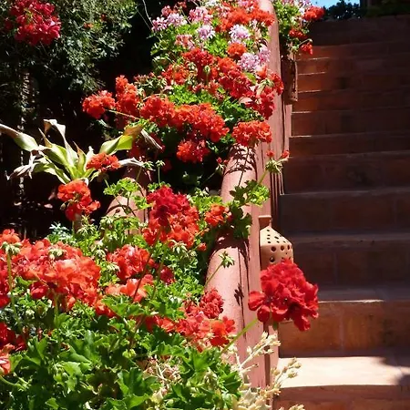 Bed & Breakfast Casa Palmeras (adults Only) Marbella