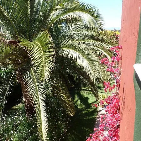 Casa Palmeras (adults Only) מלון מארבלה