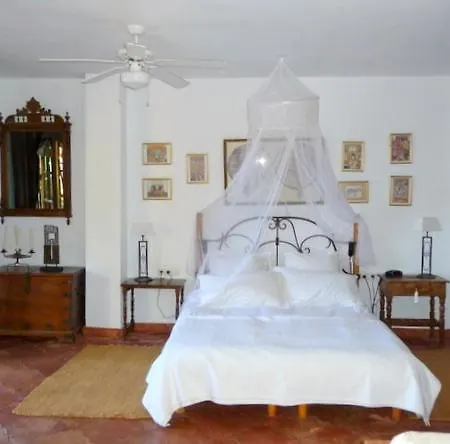 Bed & Breakfast Casa Palmeras (adults Only) 3*