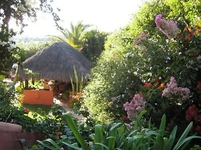 Casa Palmeras (adults Only)