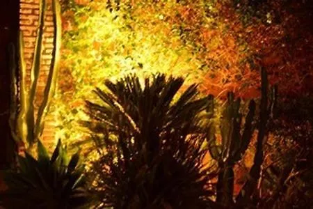 Casa Palmeras (adults Only) 3*