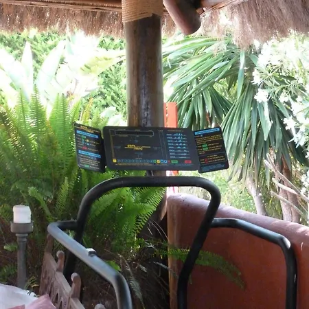 Bed & Breakfast Casa Palmeras (adults Only)