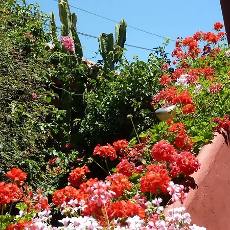 Bed & Breakfast Casa Palmeras (adults Only)