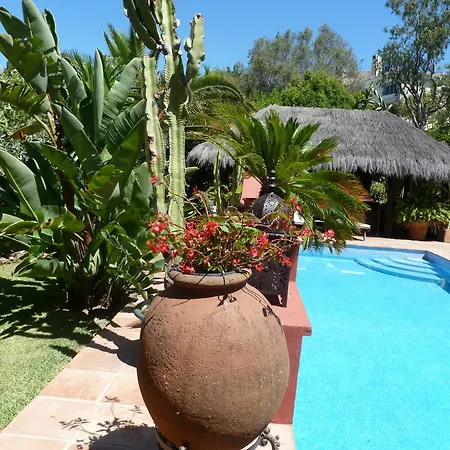Casa Palmeras (adults Only) Bed & Breakfast