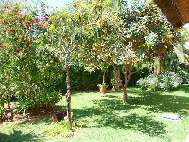 فندق مبيت وإفطار Casa Palmeras (adults Only)