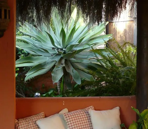 Casa Palmeras (adults Only) 3*