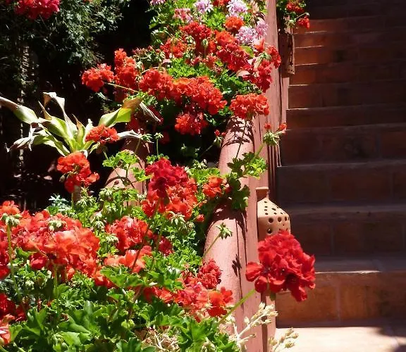 Bed & Breakfast Casa Palmeras (adults Only) Marbella