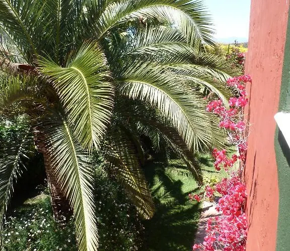 Casa Palmeras (adults Only) Frühstückspension Marbella