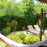 Frühstückspension Casa Palmeras (adults Only) Marbella