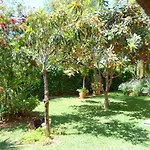 Frühstückspension Casa Palmeras (adults Only)
