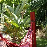 Casa Palmeras (adults Only) Frühstückspension Marbella