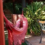 Casa Palmeras (adults Only) Marbella