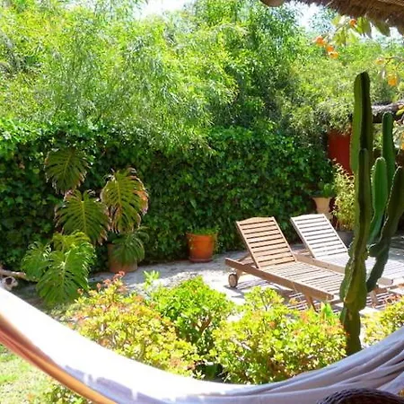 B&B Casa Palmeras (adults Only) 마르베야