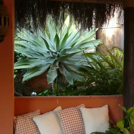 Casa Palmeras (adults Only) 3*