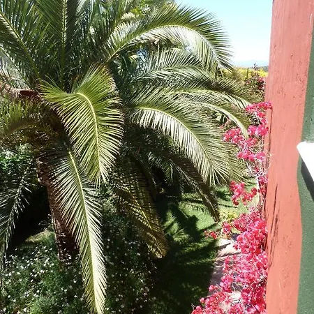 Casa Palmeras (adults Only) B&B 마르베야