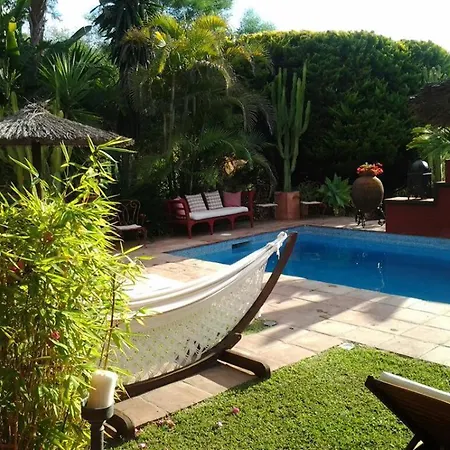 Bed & Breakfast Casa Palmeras (adults Only)