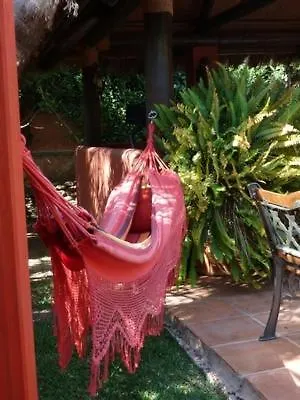 Casa Palmeras (adults Only) 马尔韦利亚