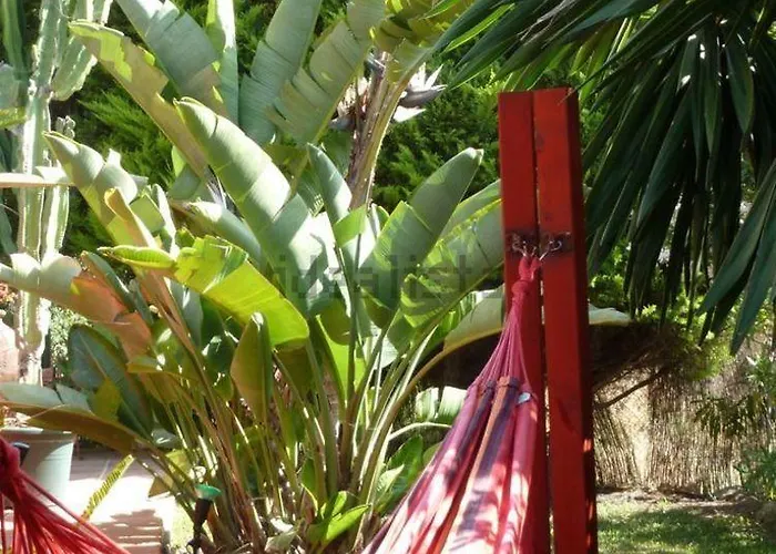 Casa Palmeras (adults Only) Alojamento de Acomodação e Pequeno-almoço Marbella