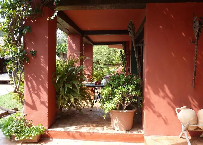 Bed & Breakfast Casa Palmeras (adults Only) 3*