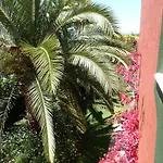 Casa Palmeras (adults Only) Bed & Breakfast Marbella