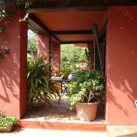 Panzió Casa Palmeras (adults Only) 3*