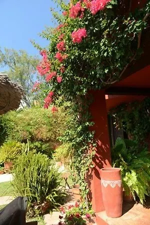 Casa Palmeras (adults Only) Couette-café Marbellac