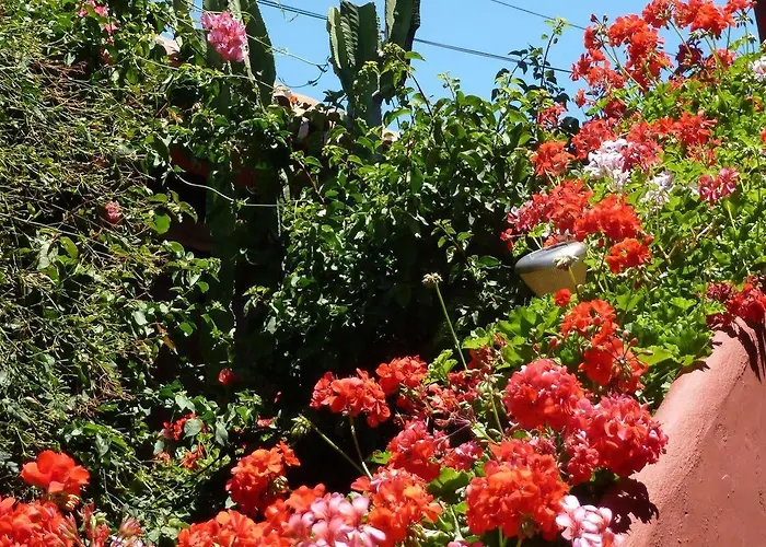 Couette-café Casa Palmeras (adults Only)